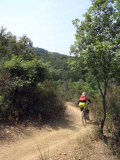 - Inno Knapp - ein mtbeer-Bikefan