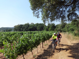 - Inno Knapp - ein mtbeer-Bikefan