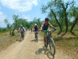 OLYMPUS DIGITAL CAMERA - Inno Knapp - ein mtbeer-Bikefan