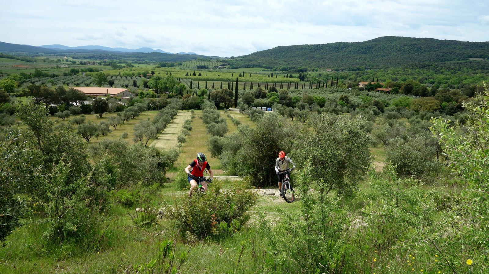 Bikeferien in der Toscana - Wo 19 - mtbeer Bikeferien in der Toscana