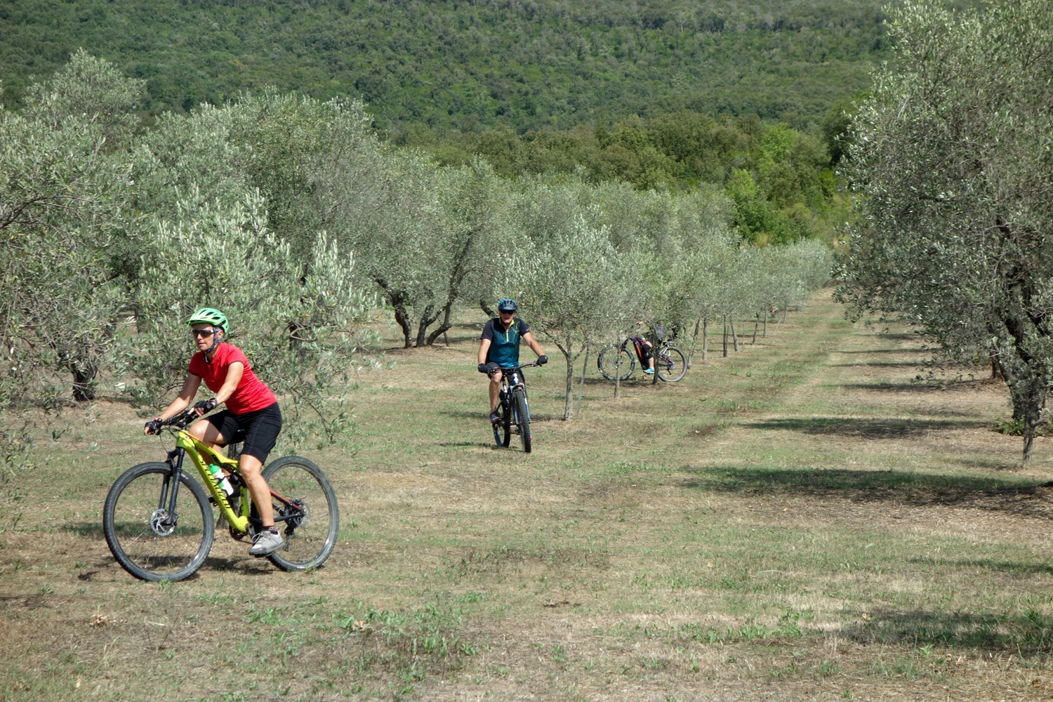 Bikeferien in der Toscana - Woche 37 - Entspannt Bikeferien geniessen