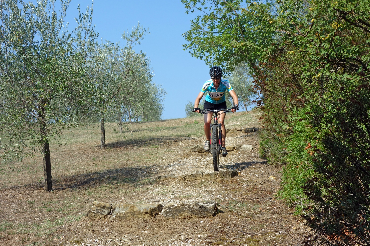 Bikeferien in der Toscana - Woche 38 - viaje.ch besucht mtbeer.ch