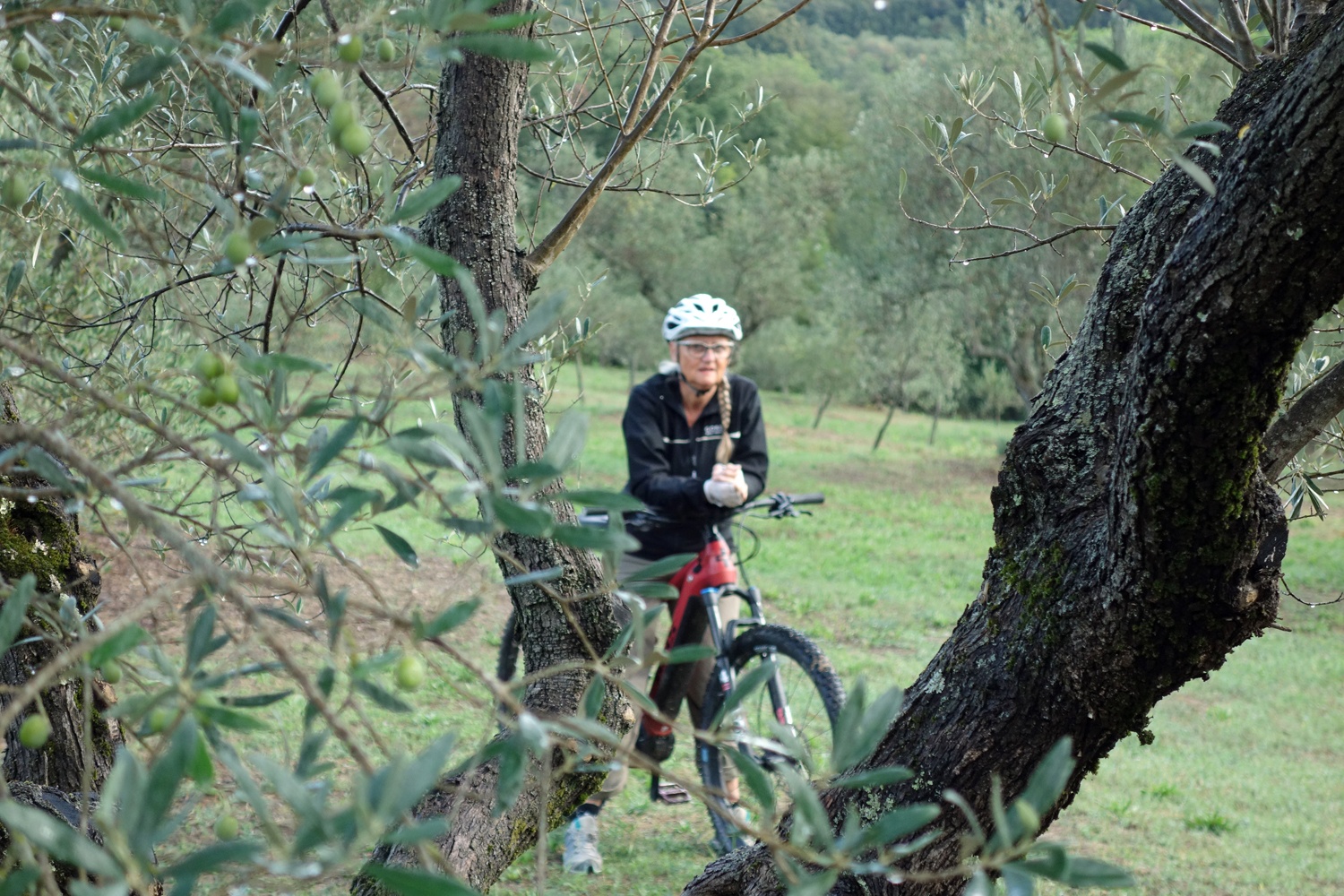 Bikeferien in der Toscana - Woche 39 - Was will ein MTBler mehr?