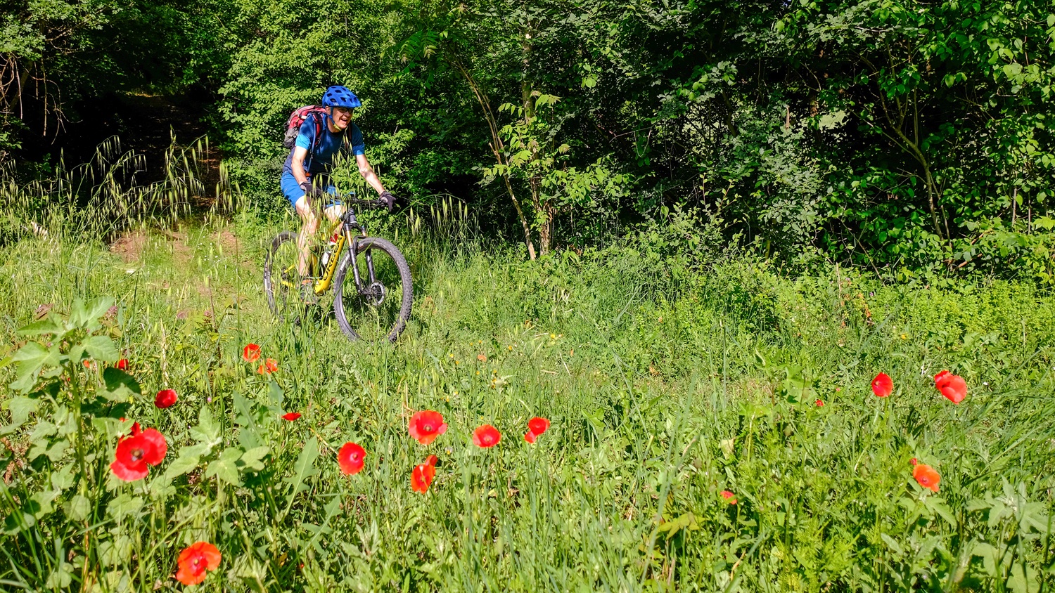 Bikeferien in der Toscana - Wo22 - Joles Gedicht vo de Trails bi mtbeer