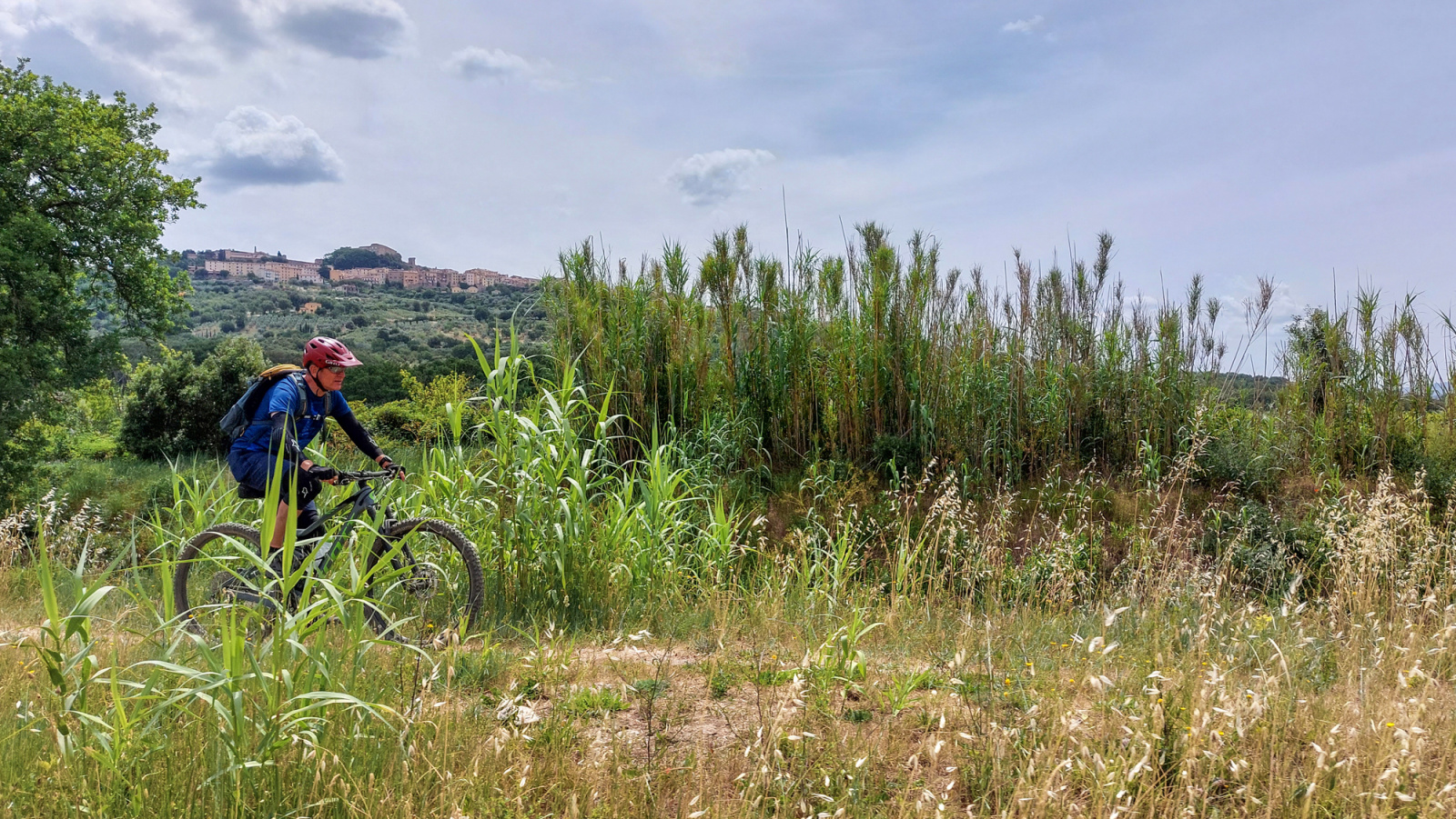 Bikeferien in der Toscana - Woche 23 - Compañero Thomas berichtet